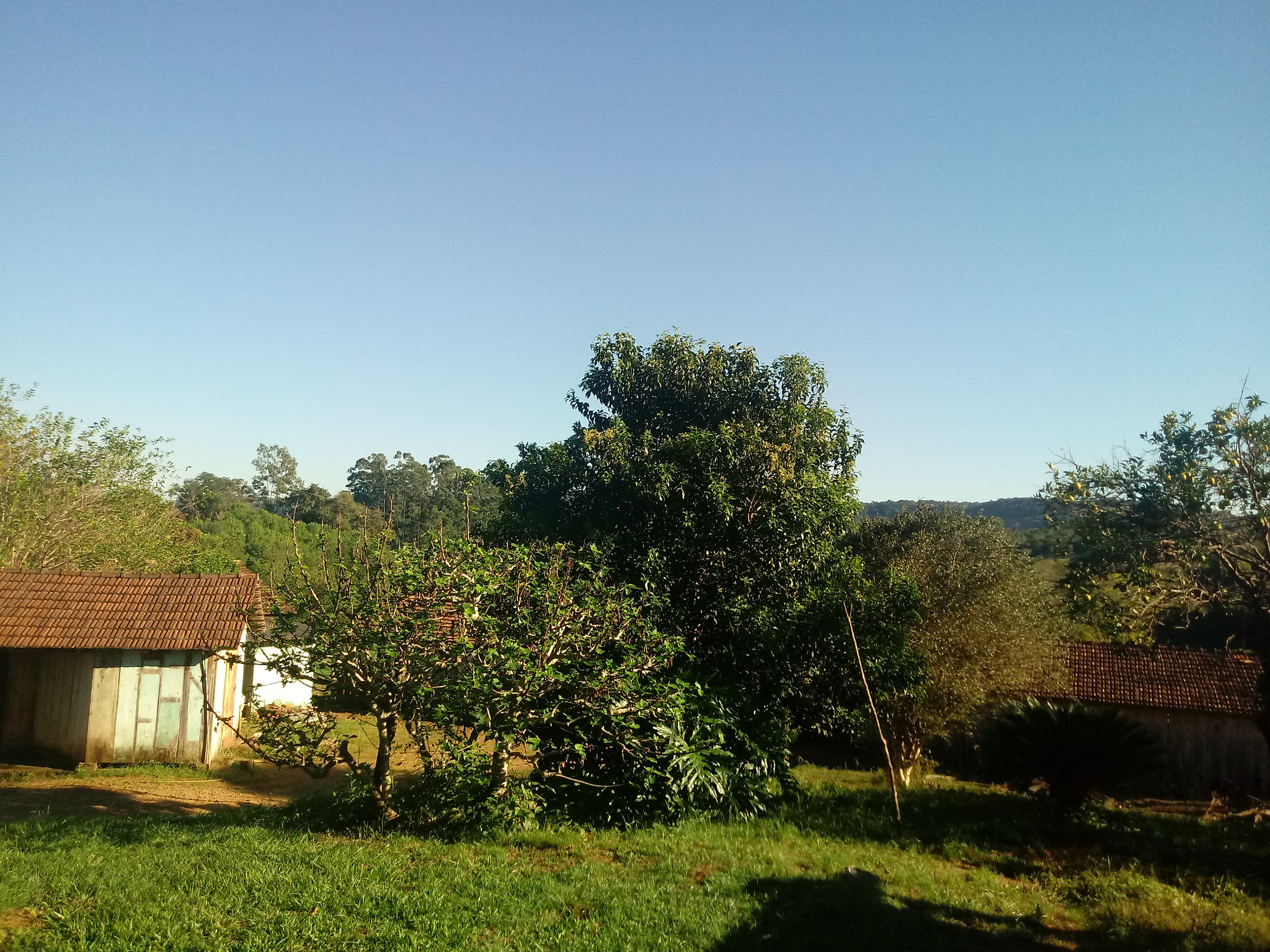 LG K10 (2017) sample photo