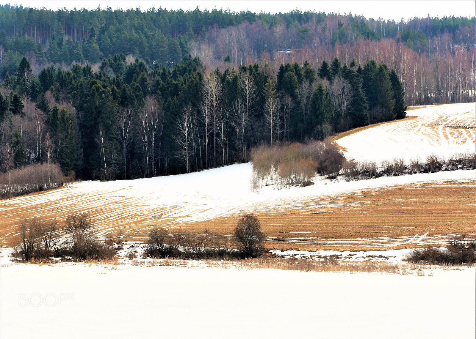 Canon EOS 7D Mark II sample photo. Spring scenery photography