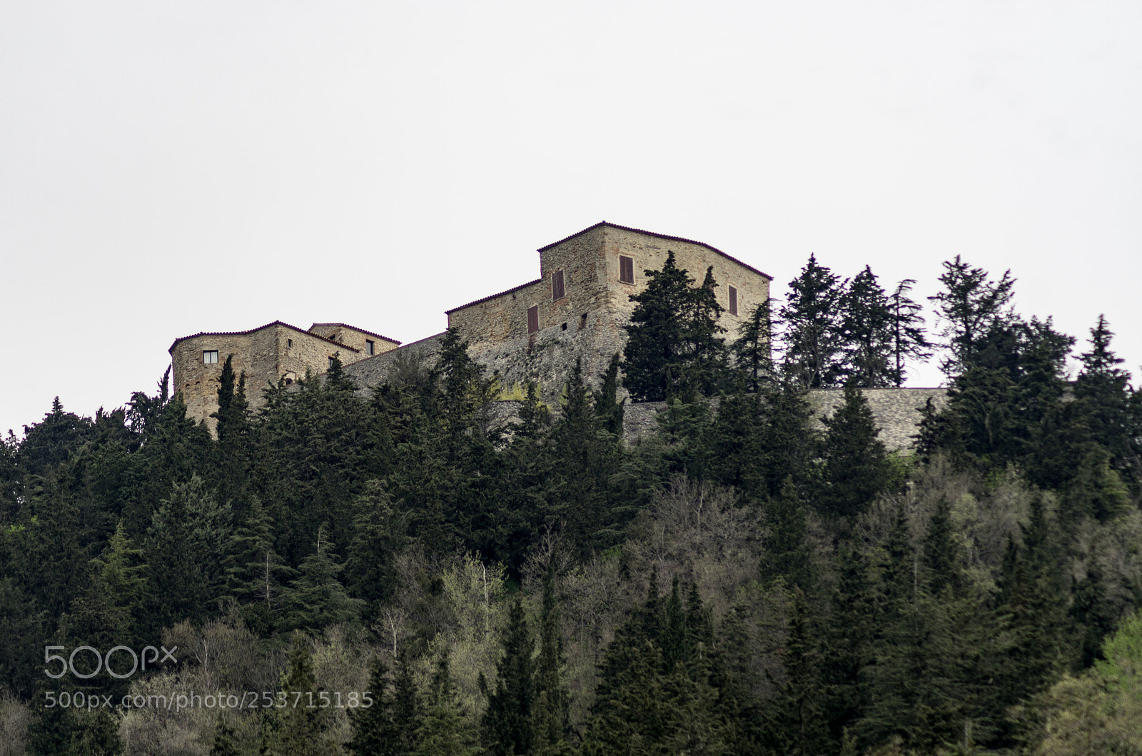 Pentax K-5 sample photo. Untitled photography