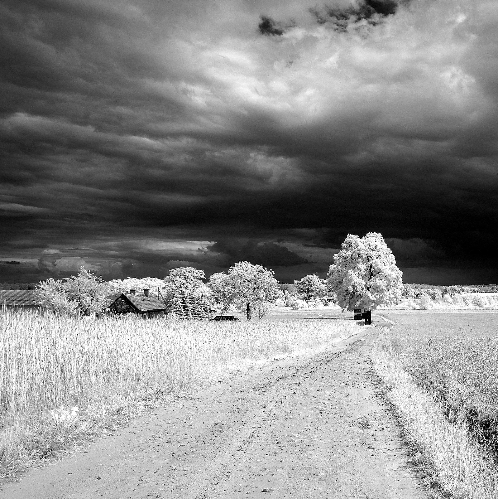 Samsung NX100 sample photo. Sinister sky photography