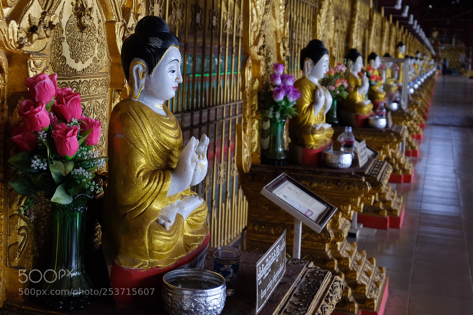 Fujifilm X-T20 sample photo. Budas photography