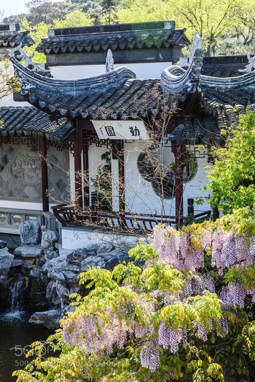 Canon EOS 5D Mark IV sample photo. Garden qin photography