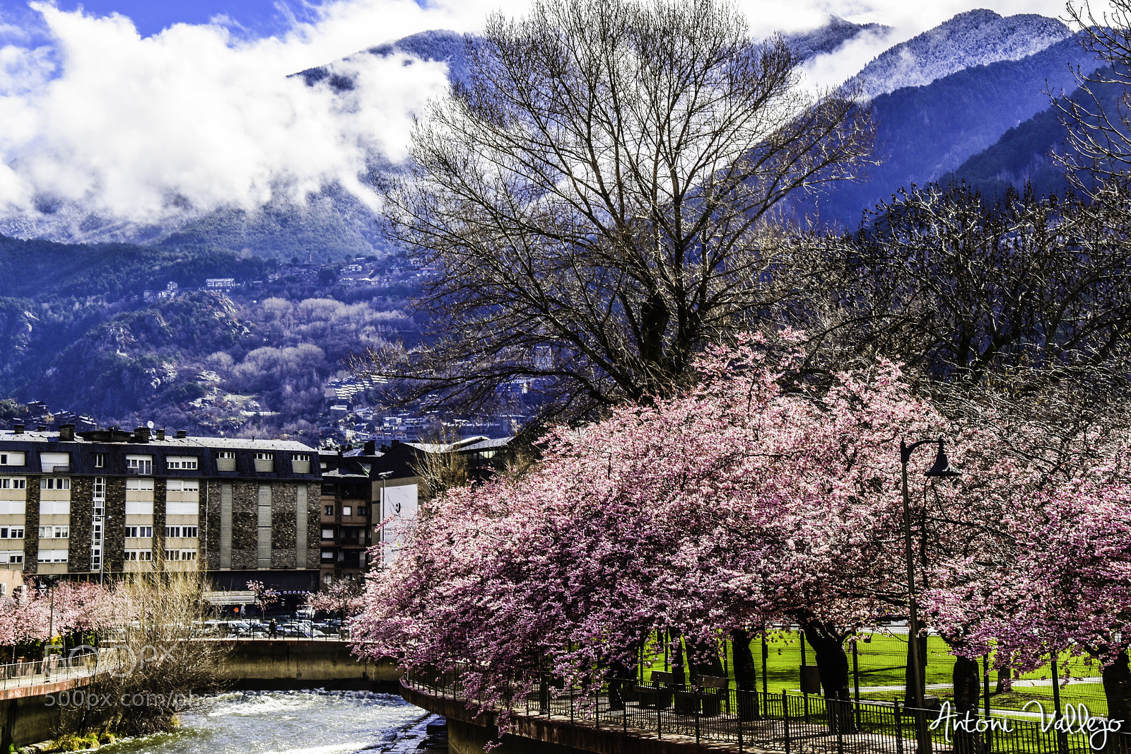 Nikon D5600 sample photo. La natura sembla estar photography