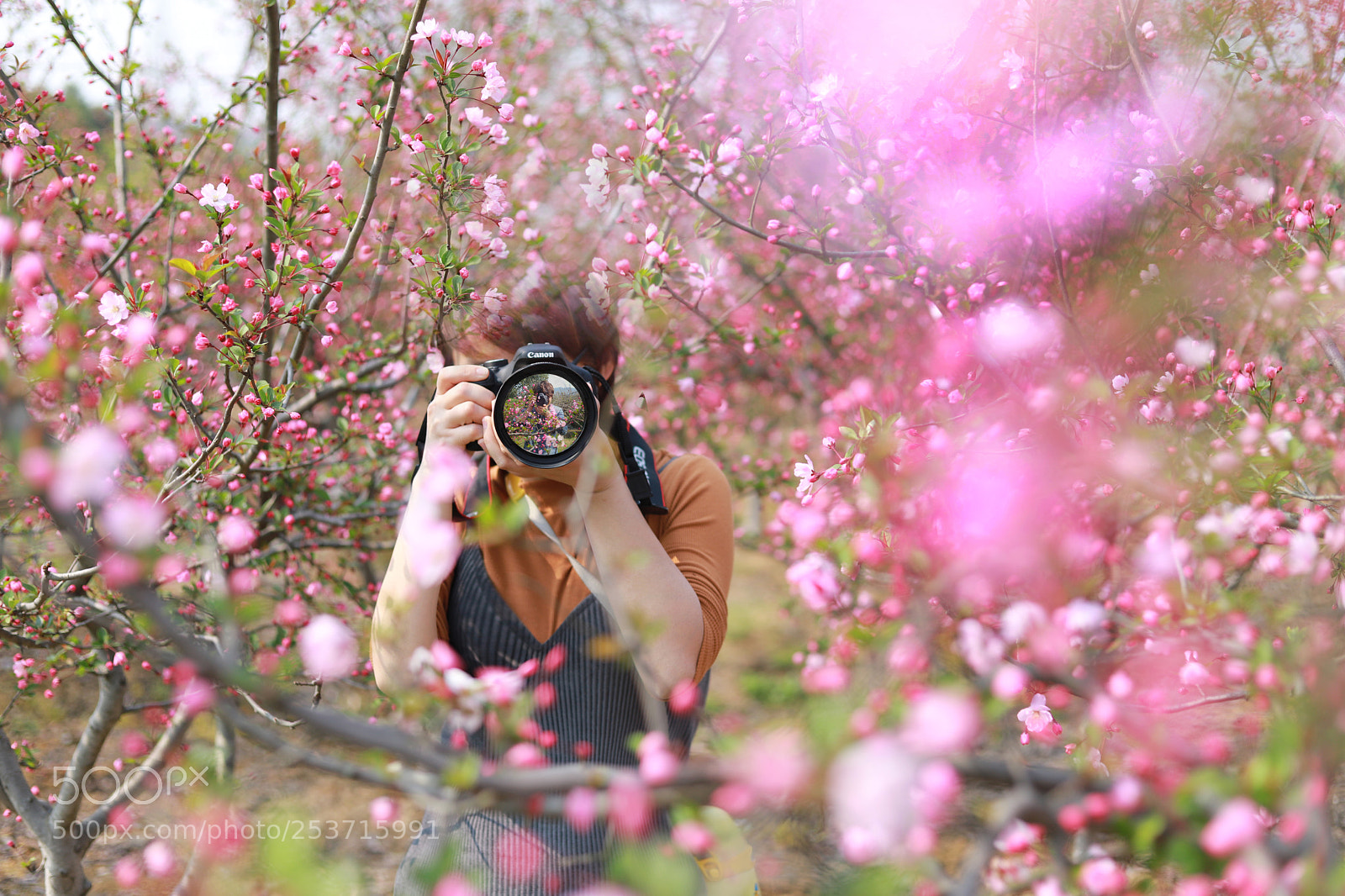 Canon EOS 6D Mark II sample photo. Untitled photography
