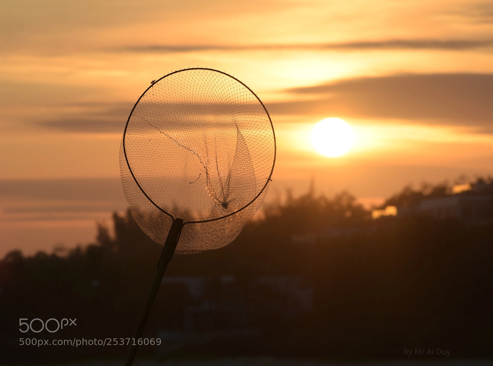 Nikon D7200 sample photo. Reach for the sky photography