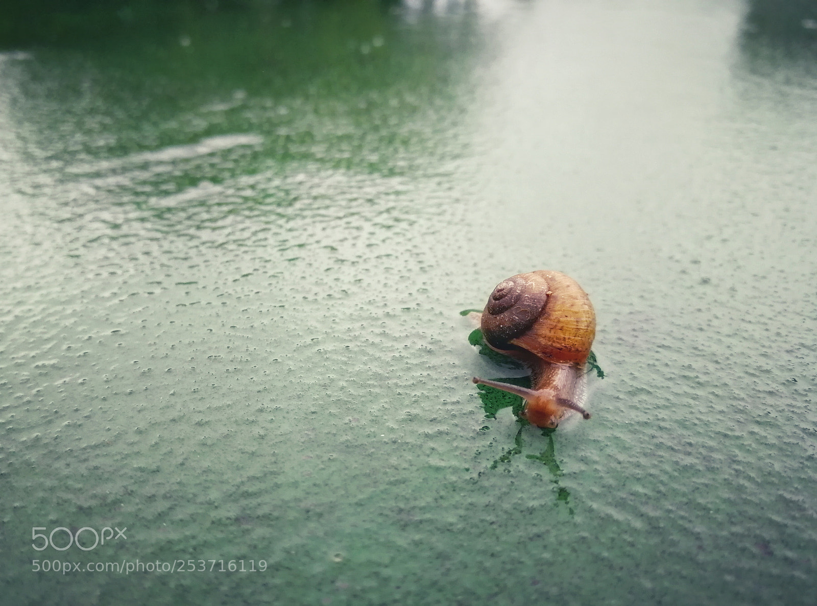 HUAWEI Honor 9 sample photo. Untitled photography