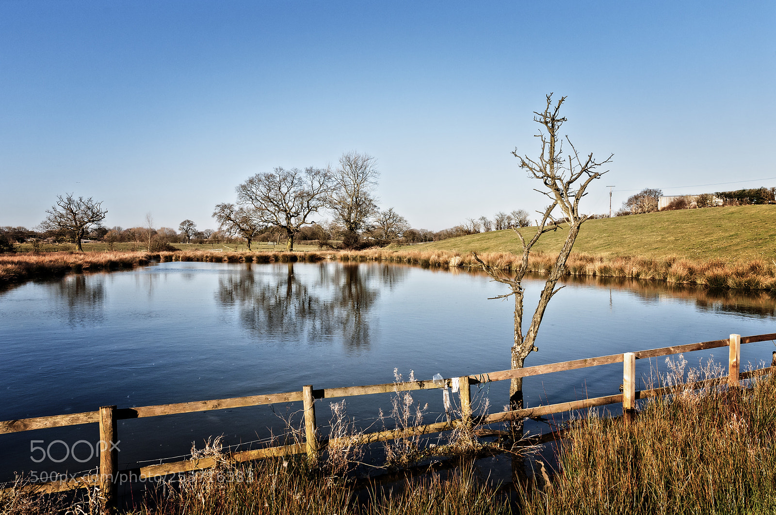 Nikon D300S sample photo. Out at sandbach photography