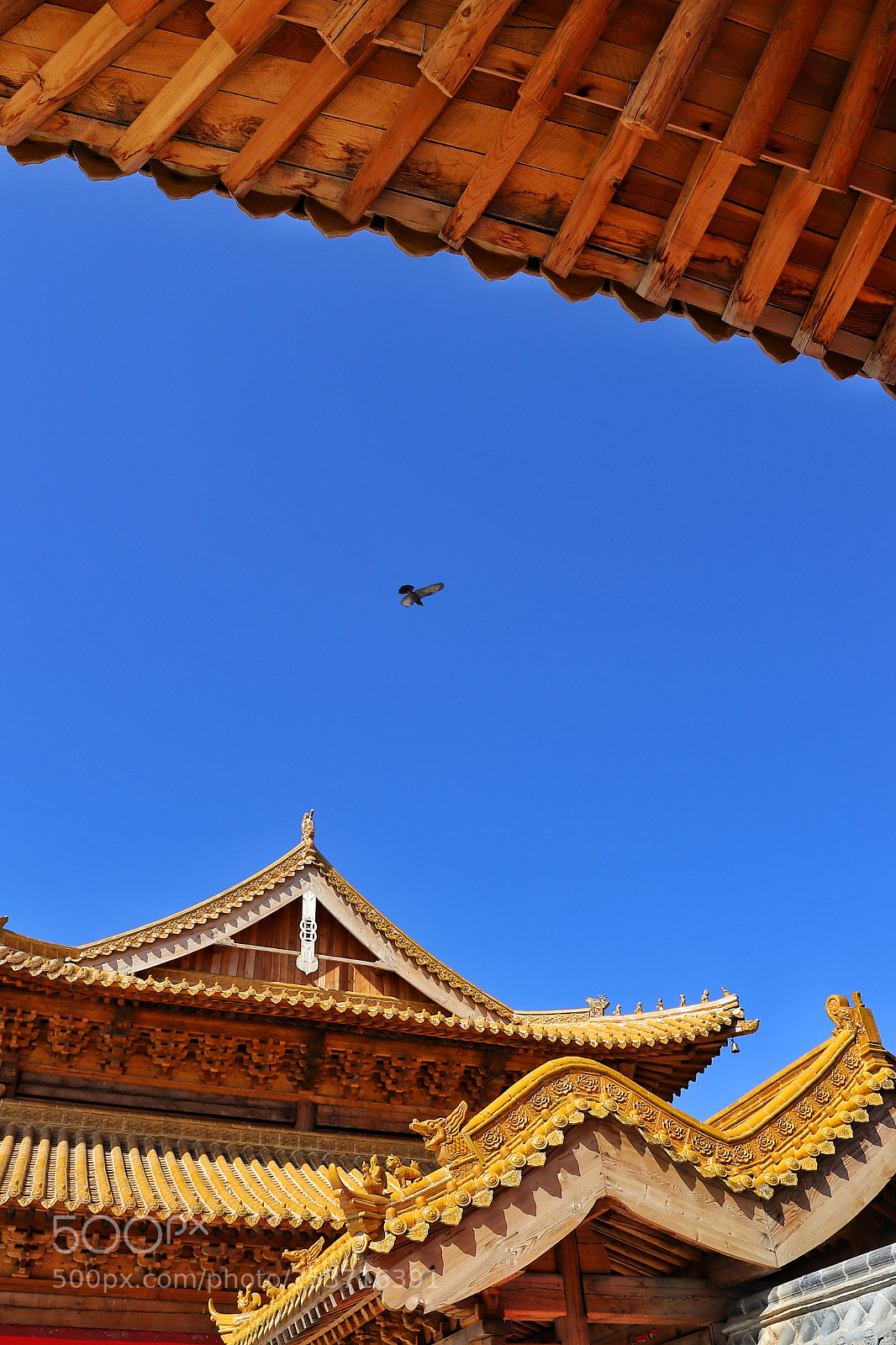 Canon EOS 6D Mark II sample photo. Untitled photography
