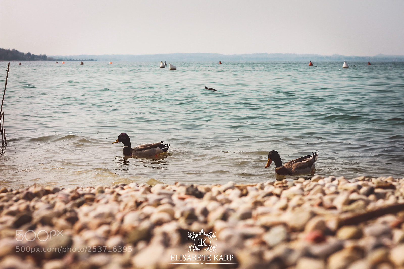Canon EOS 7D sample photo. Untitled photography
