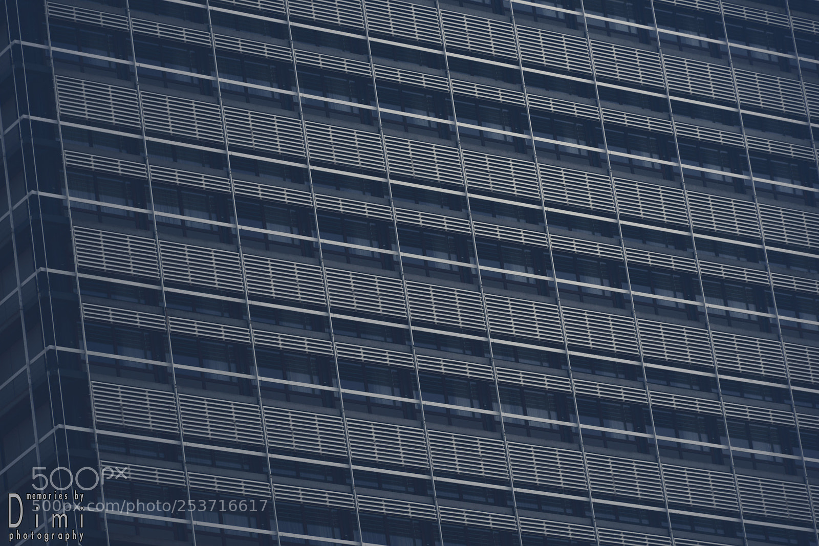 Nikon D7200 sample photo. Beyond the windows photography