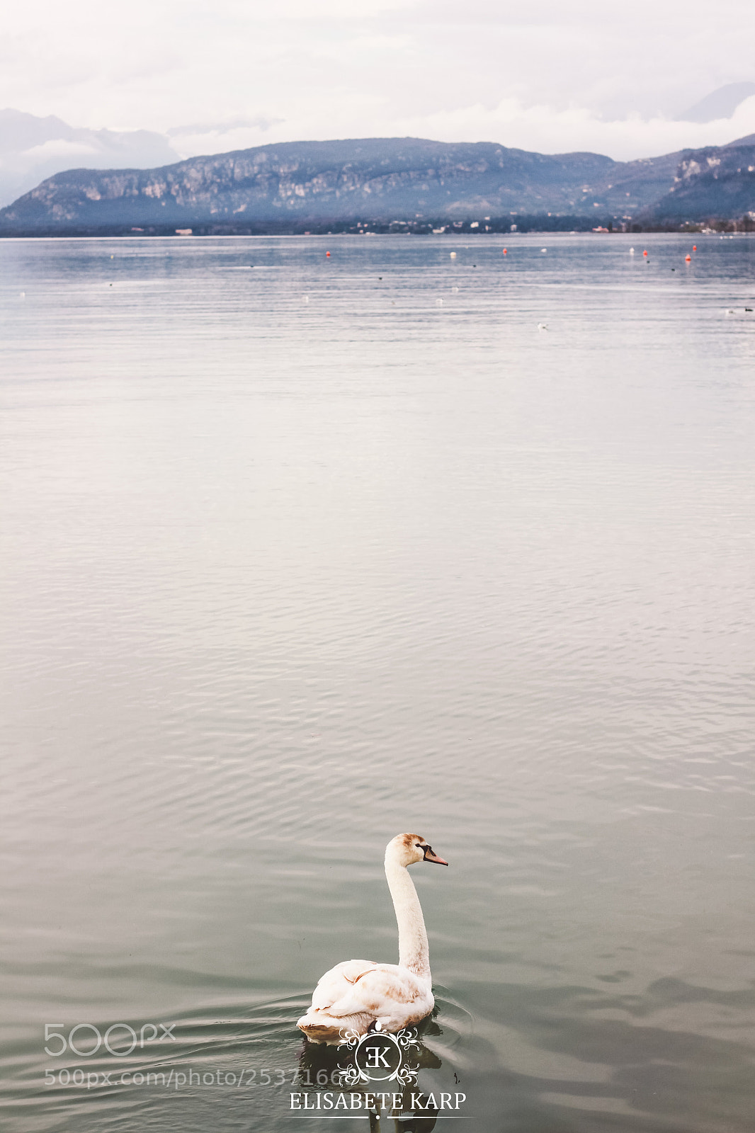 Canon EOS 7D sample photo. Untitled photography