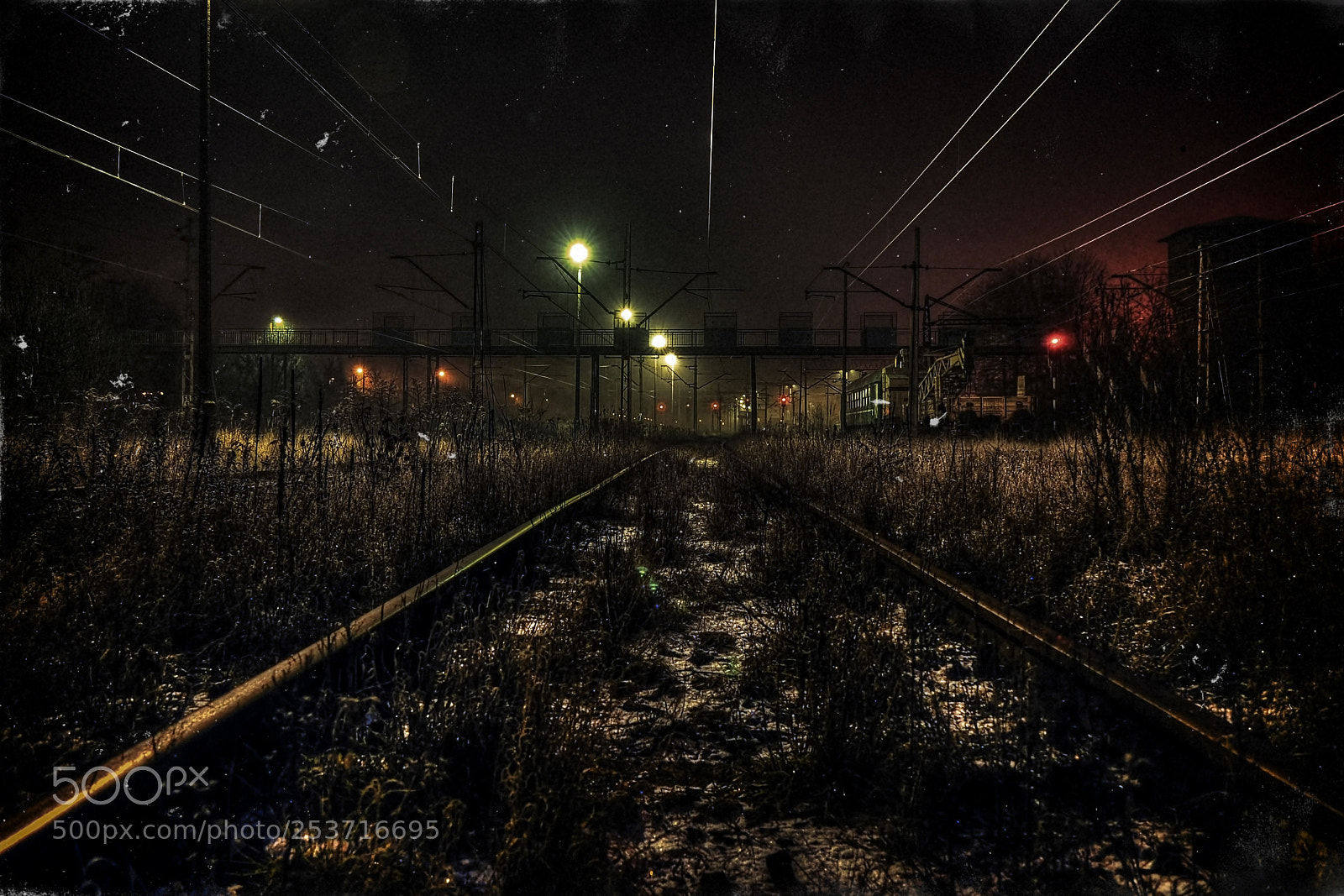 Nikon D5000 sample photo. Nite photography