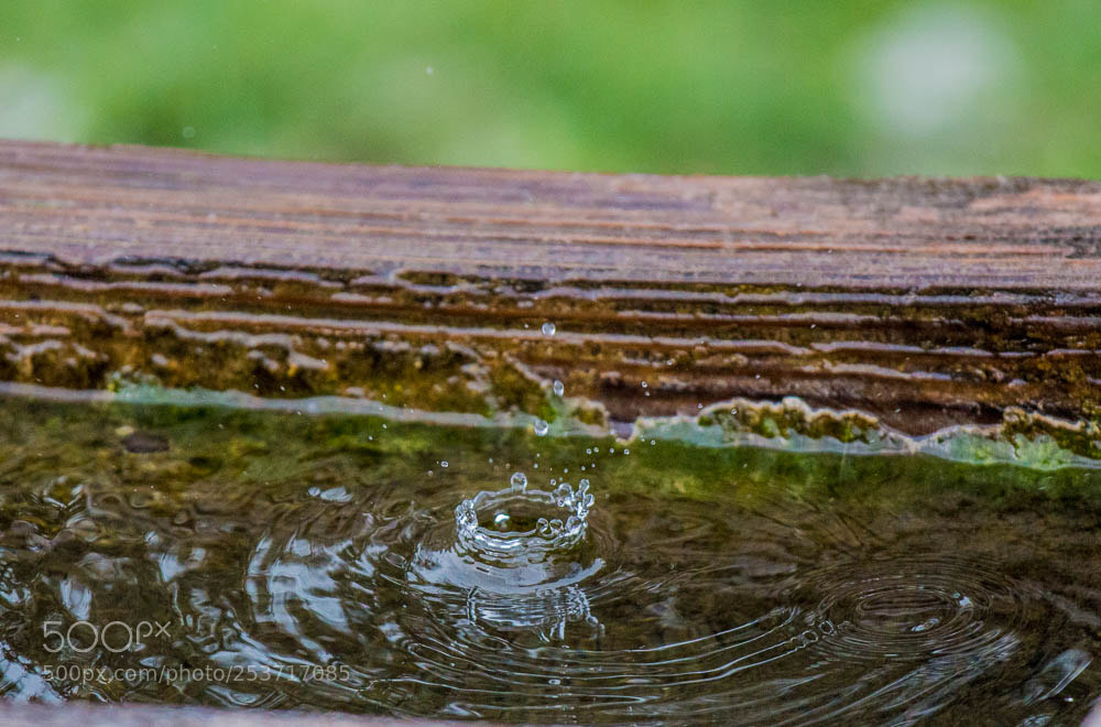 Canon EOS 700D (EOS Rebel T5i / EOS Kiss X7i) sample photo. Wassertropfen photography