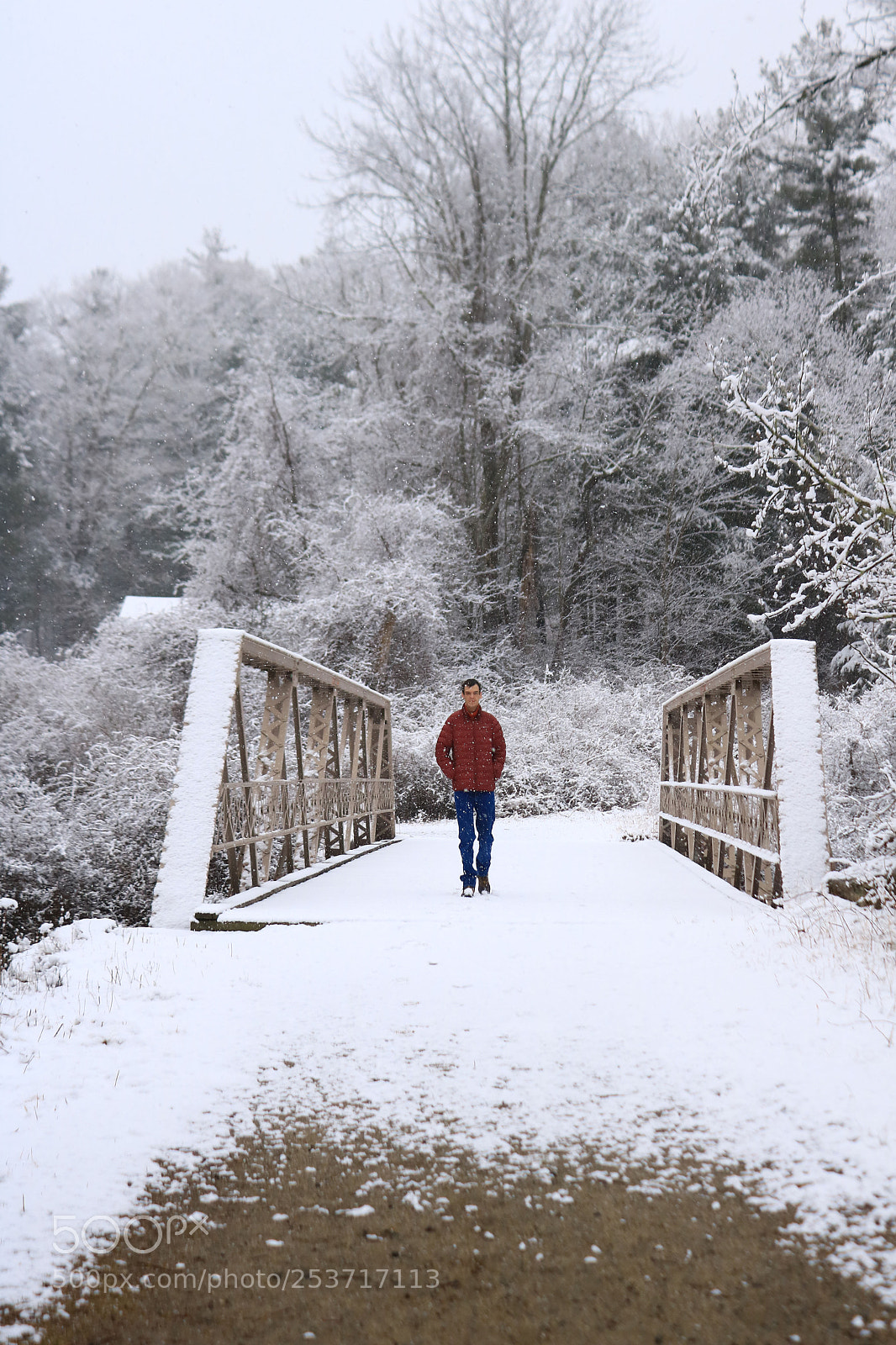 Canon EOS 750D (EOS Rebel T6i / EOS Kiss X8i) sample photo. Walking over the snow photography
