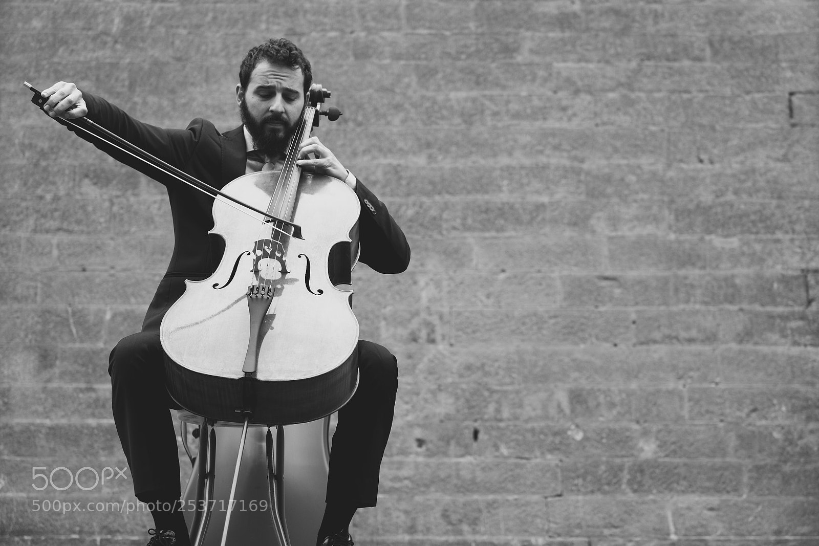 Fujifilm X-T10 sample photo. The cellist photography