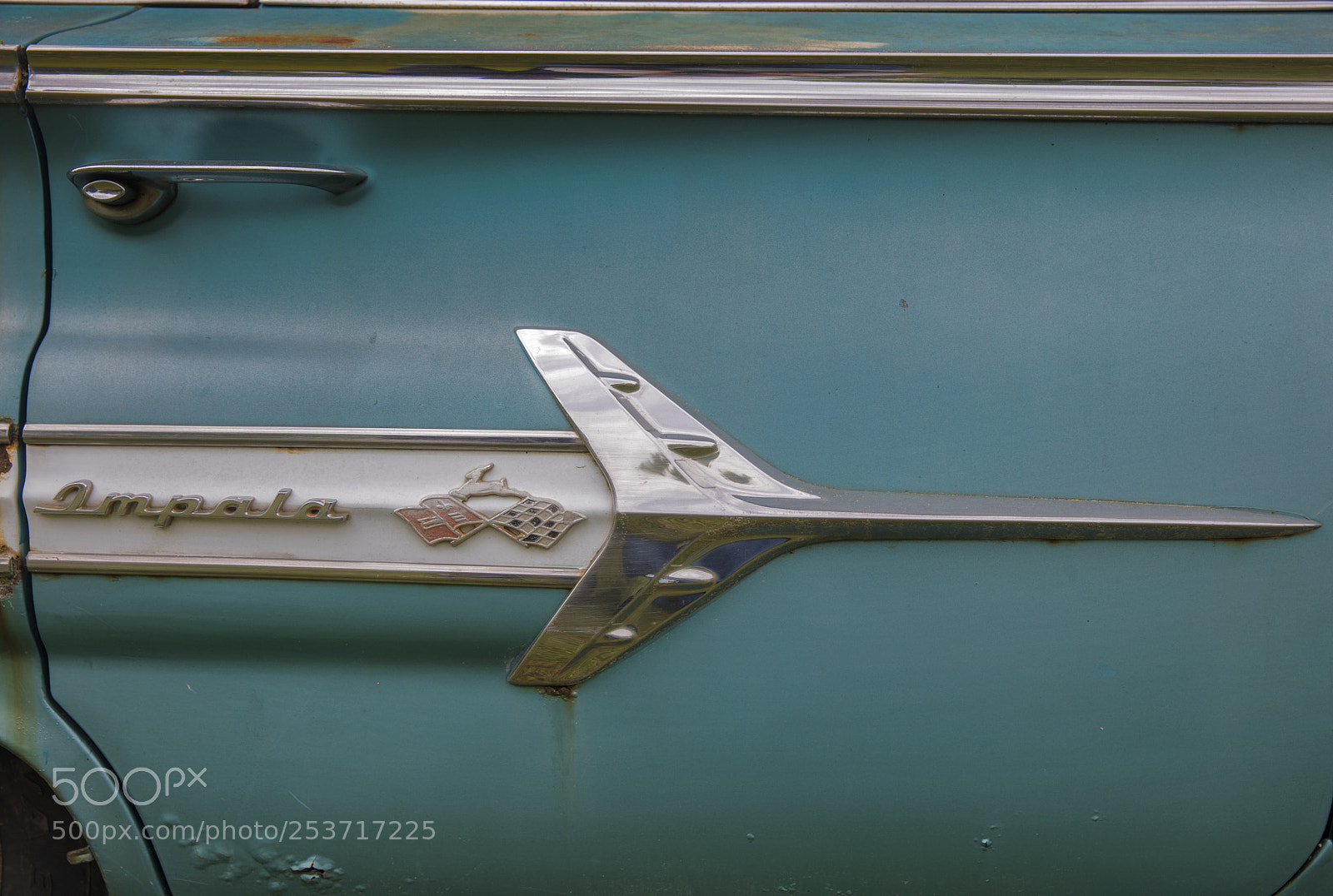 Canon EOS 5D Mark IV sample photo. Impala badge photography