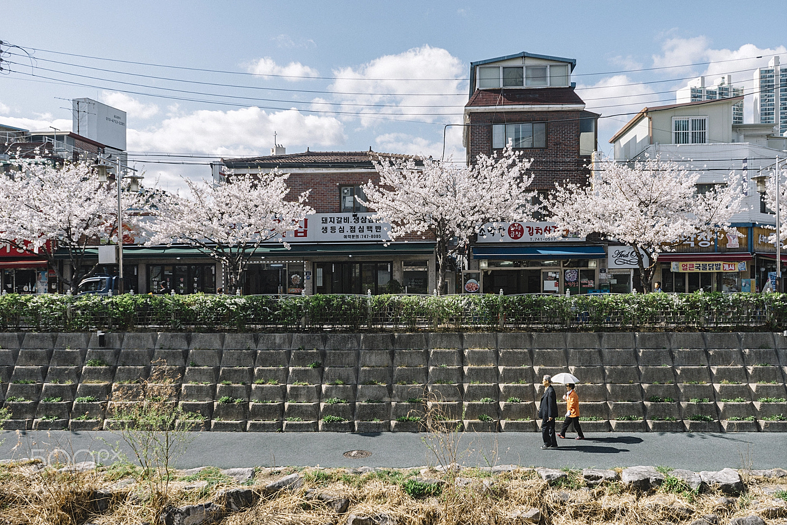 Sony a7R sample photo. Springtime daily life photography