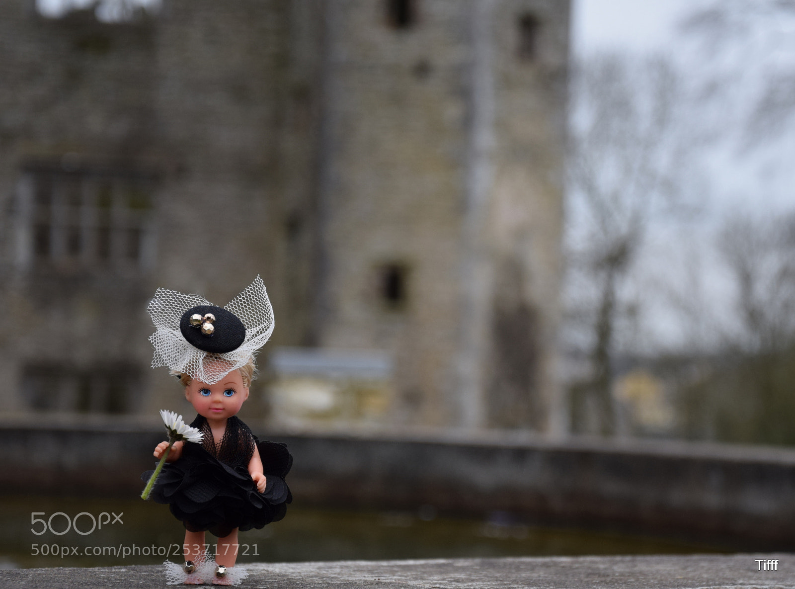 Nikon D5300 sample photo. Dolly photography