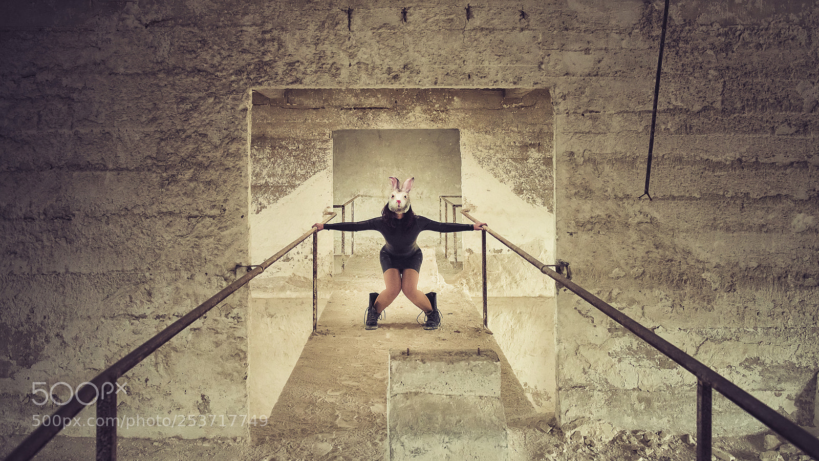 Nikon D850 sample photo. Mais ou est alice ? photography