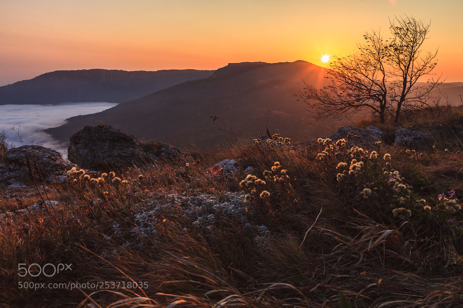 Canon EOS 5D Mark II sample photo. In the mountains of photography