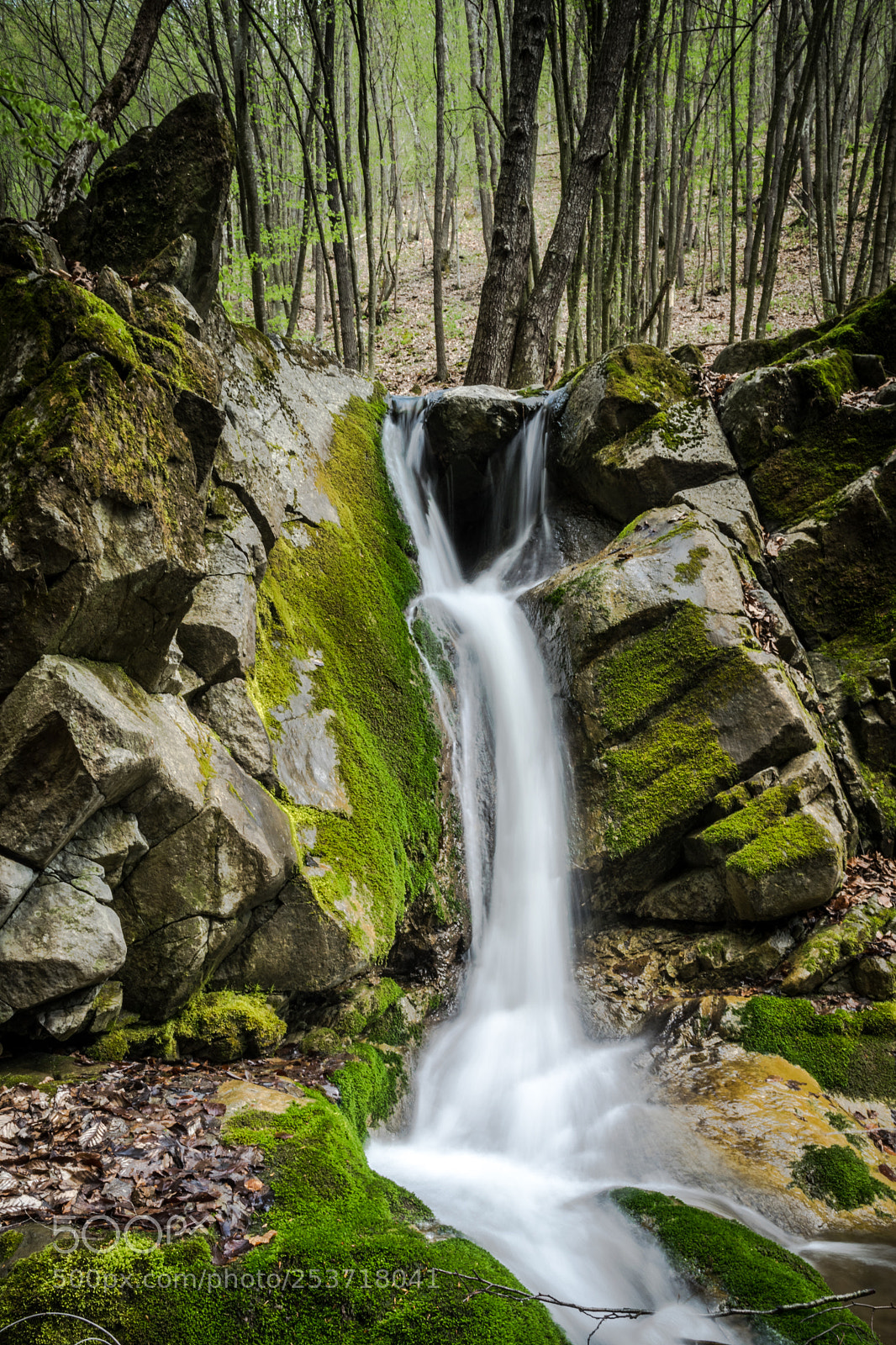 Nikon D5300 sample photo. Borzesti gorges photography