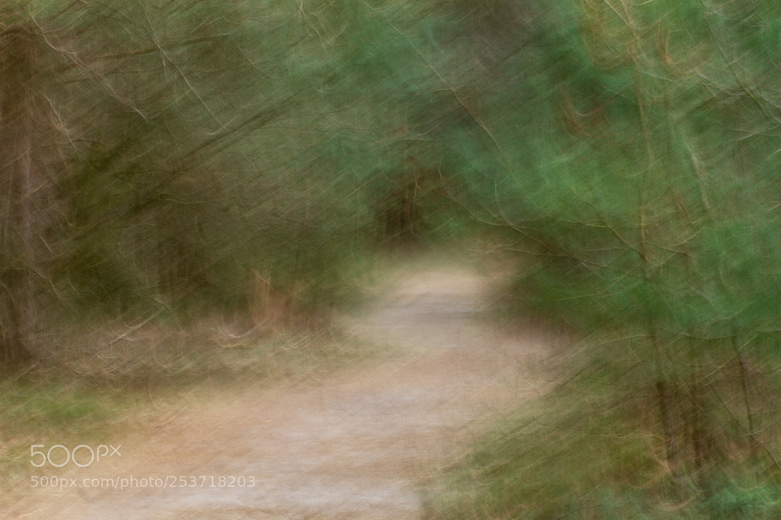 Canon EOS 7D sample photo. Where to go... photography
