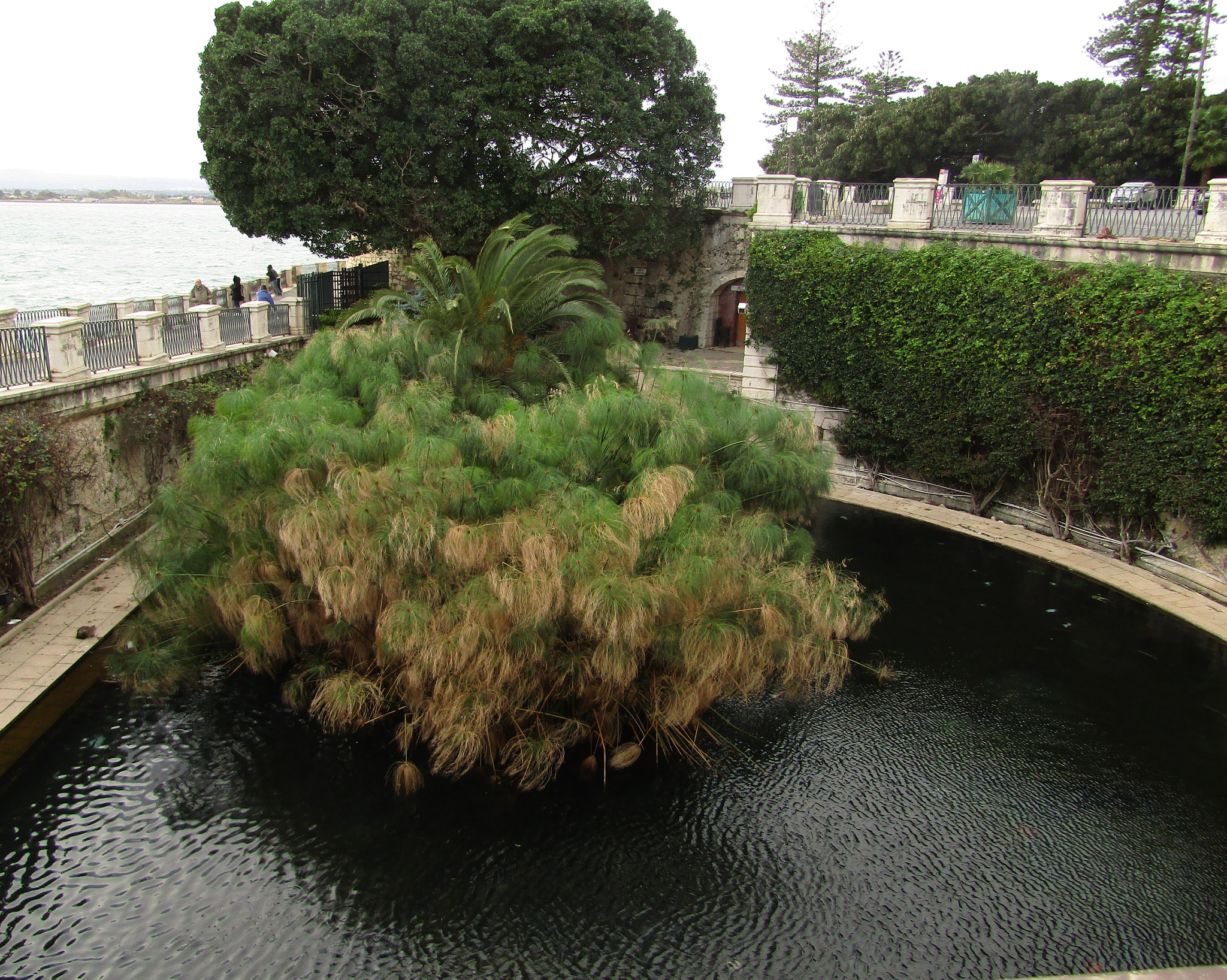 Canon POWERSHOT SX430 IS sample photo. Papiro photography