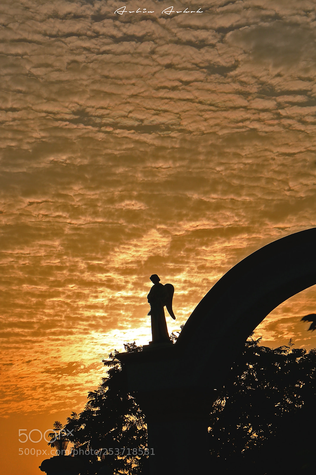 Canon EOS 70D sample photo. Angels don't break hearts. photography