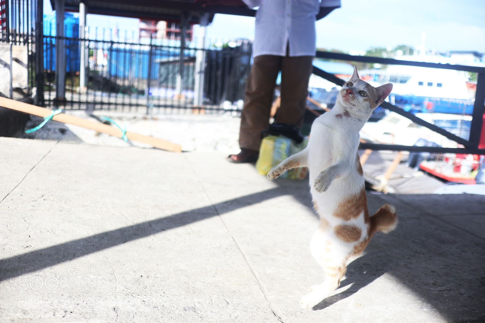 Canon EOS M6 sample photo. Img photography