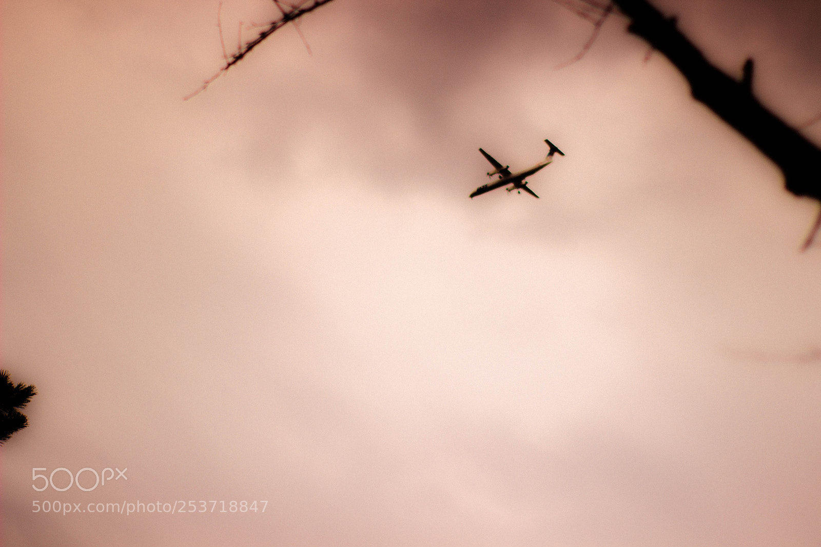 Canon EOS 600D (Rebel EOS T3i / EOS Kiss X5) sample photo. Plane above the city photography