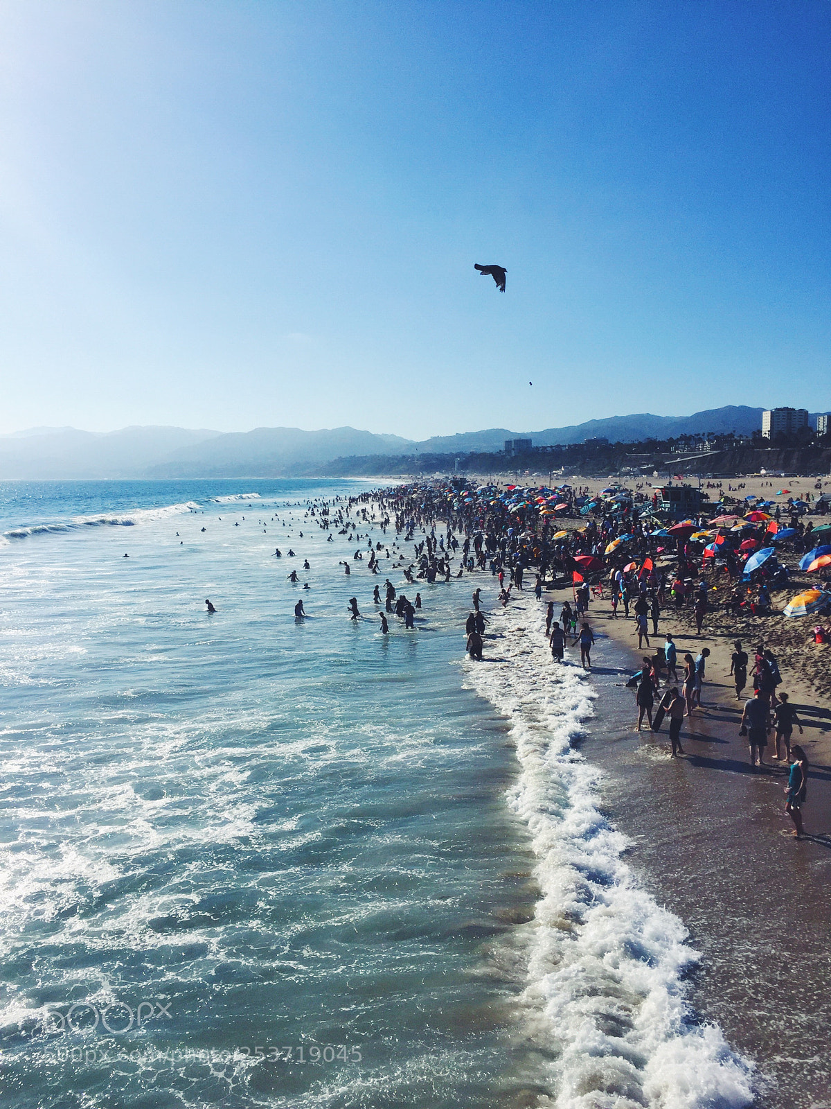 Apple iPhone 6 sample photo. Processed with vsco with photography