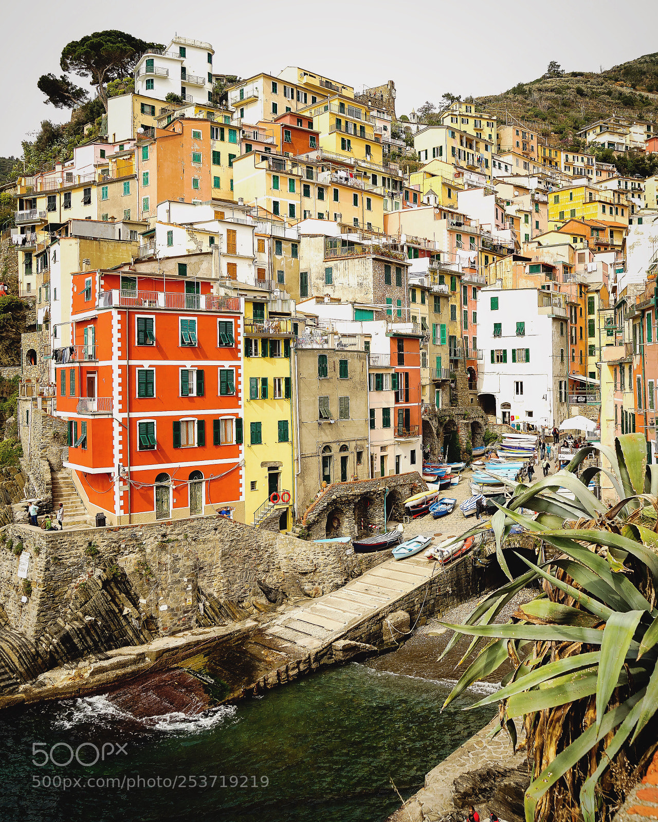 Sony a7 II sample photo. Riomaggiore houses ? photography