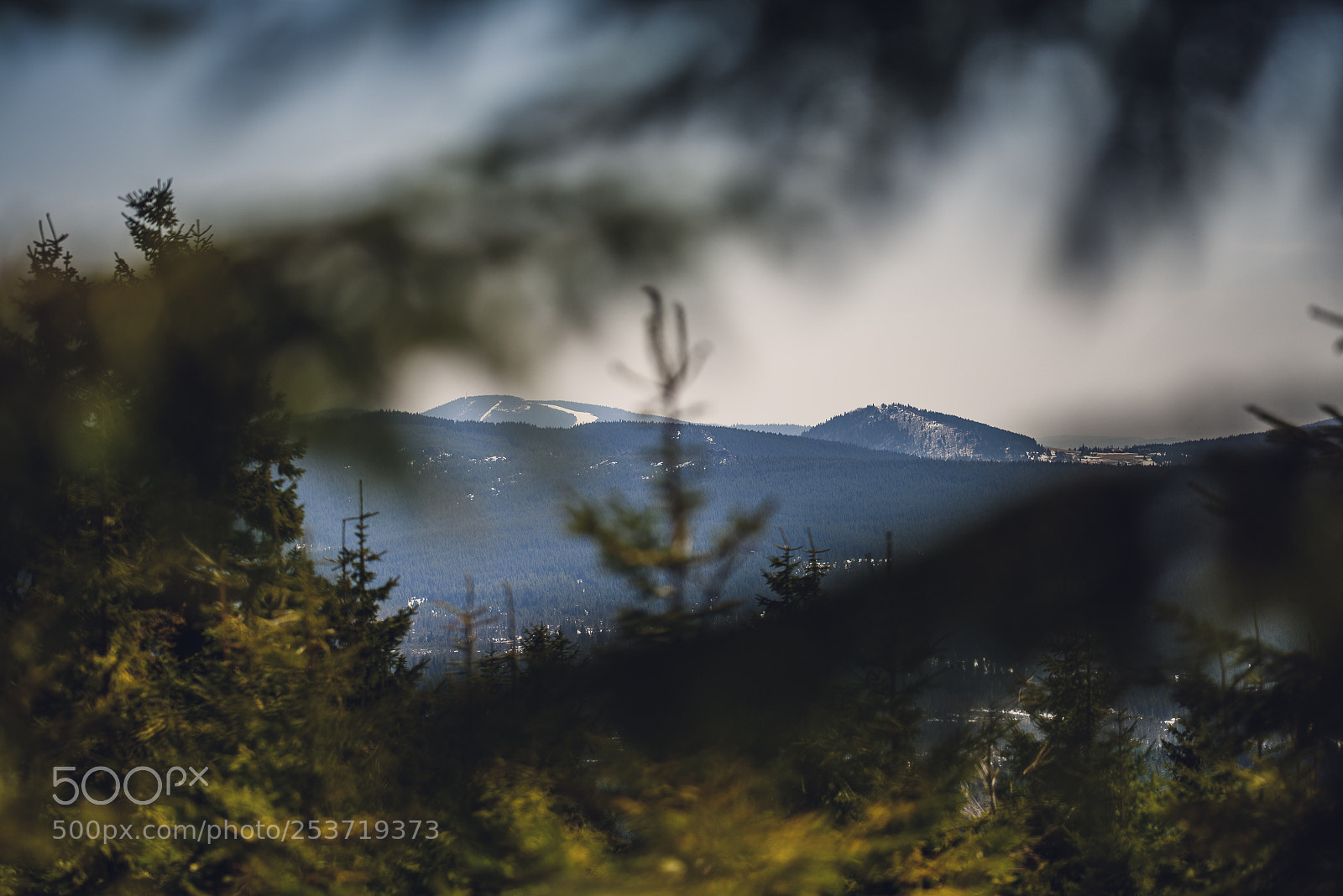Nikon D810 sample photo. Other spring photography
