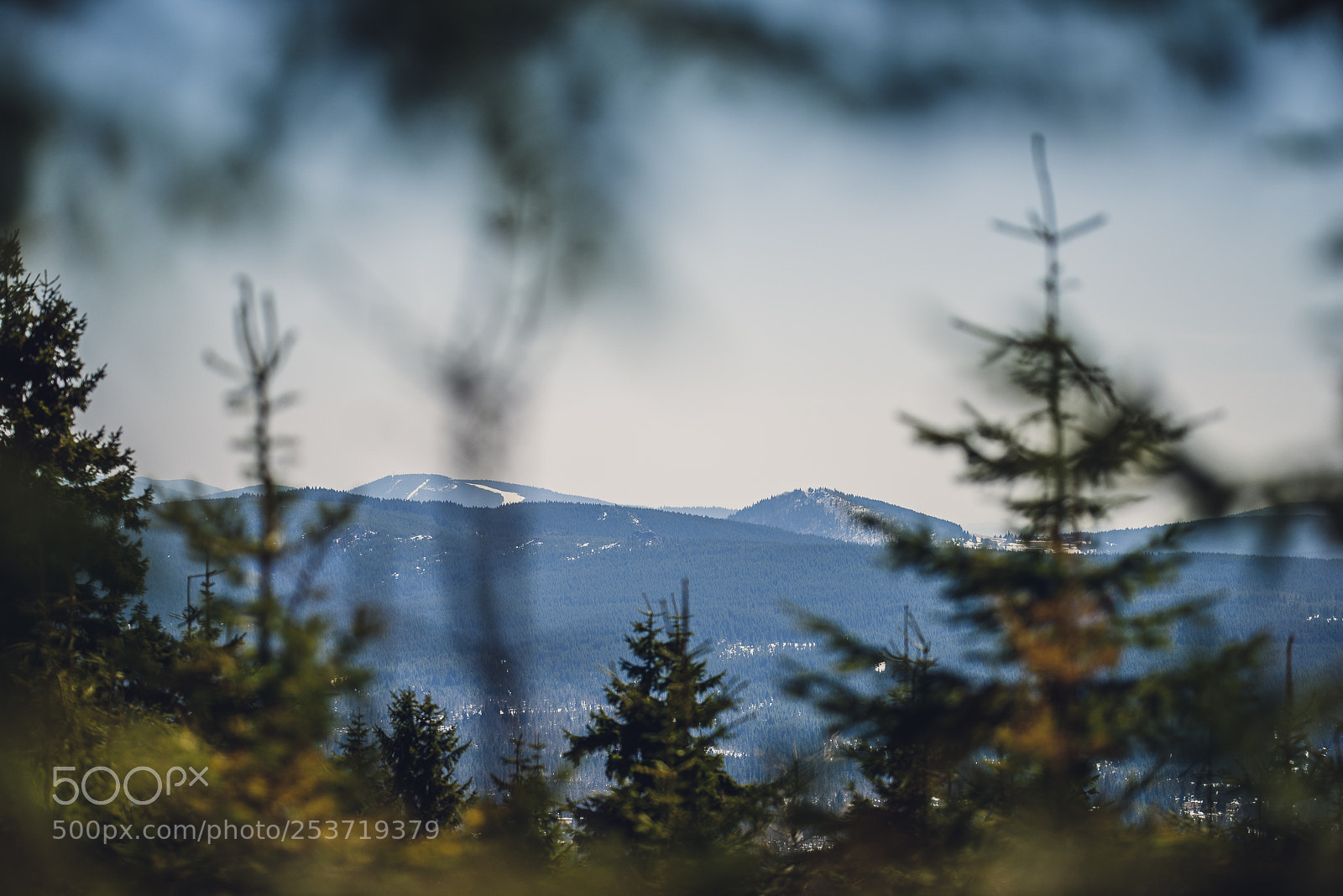 Nikon D810 sample photo. Other spring photography