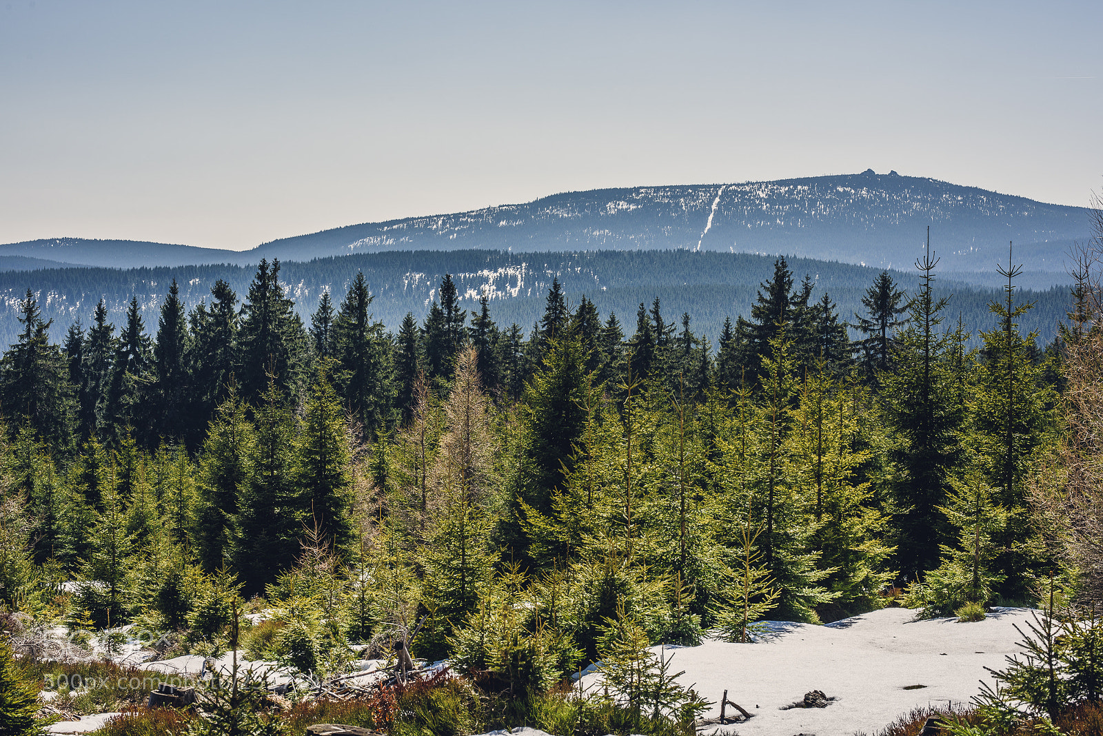 Nikon D810 sample photo. Other spring photography