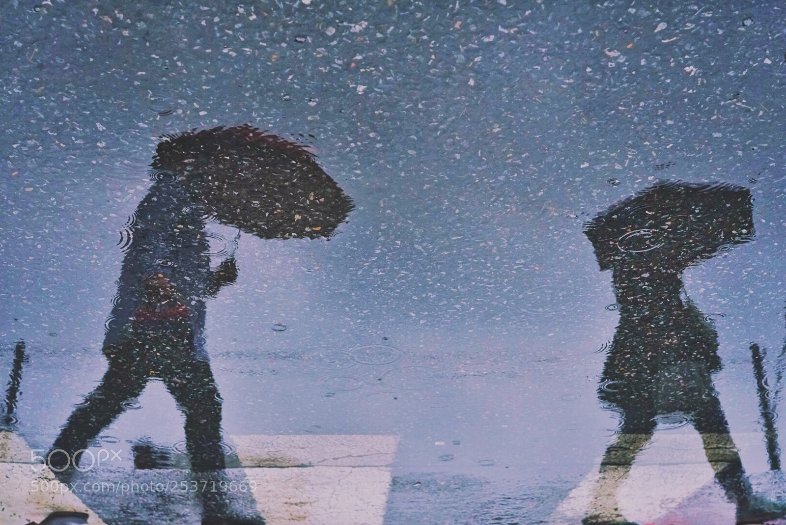 Sony a6300 sample photo. Walking in the rain photography