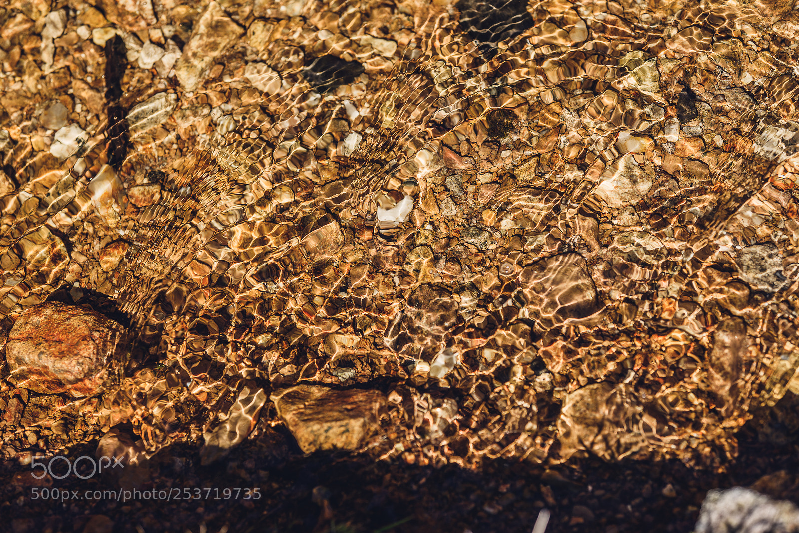 Nikon D810 sample photo. Other spring photography