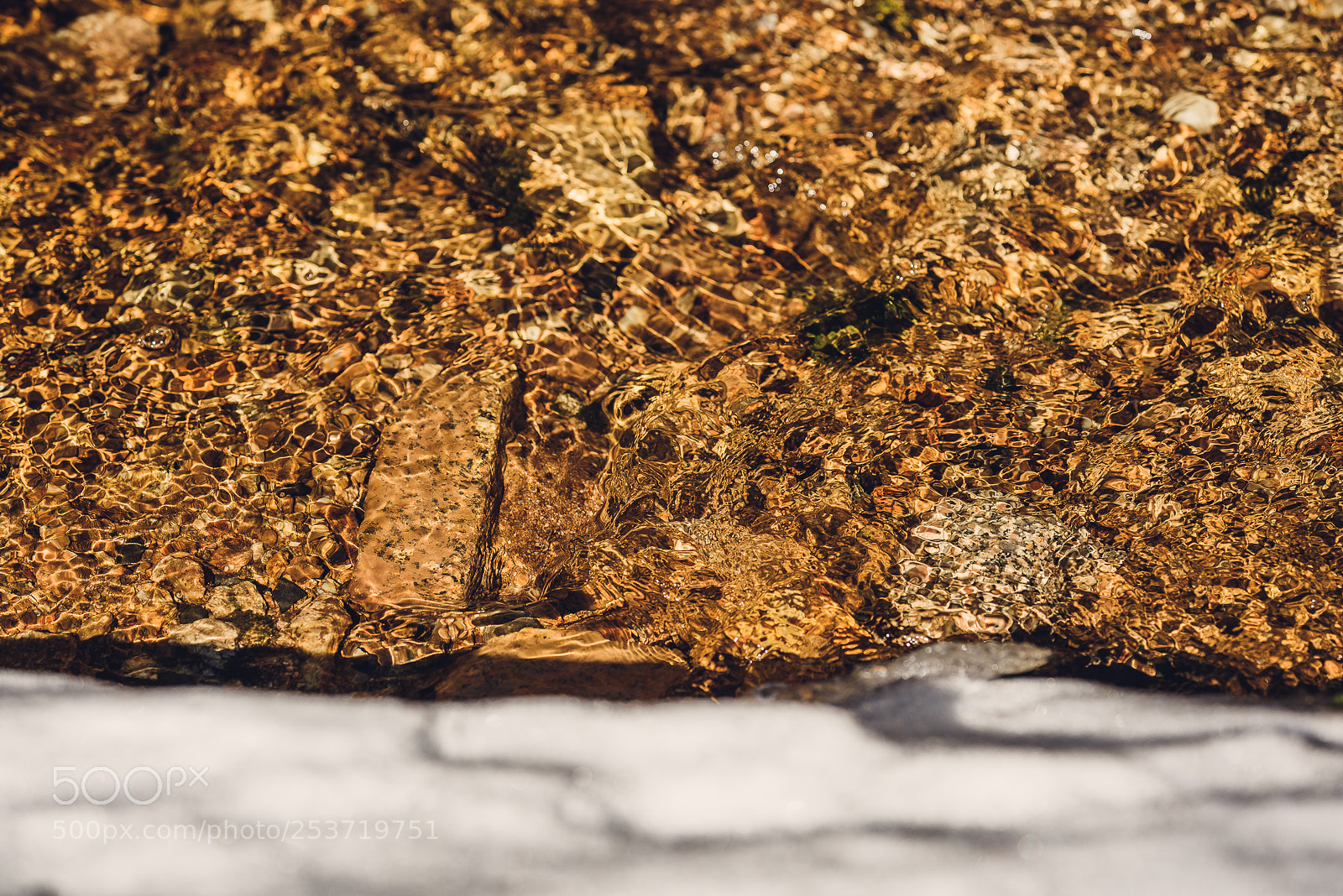 Nikon D810 sample photo. Other spring photography