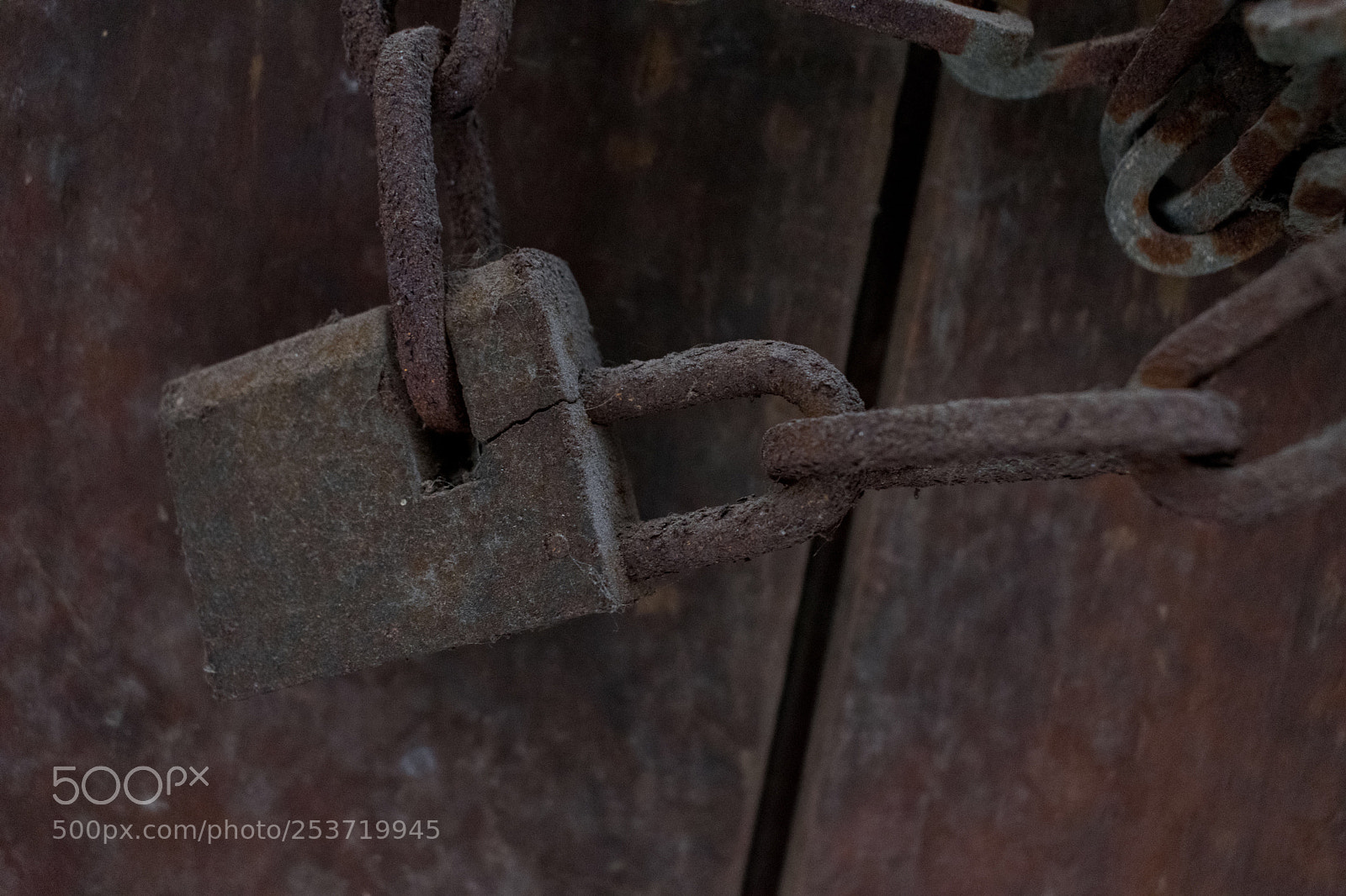 Nikon D5300 sample photo. Untitled photography