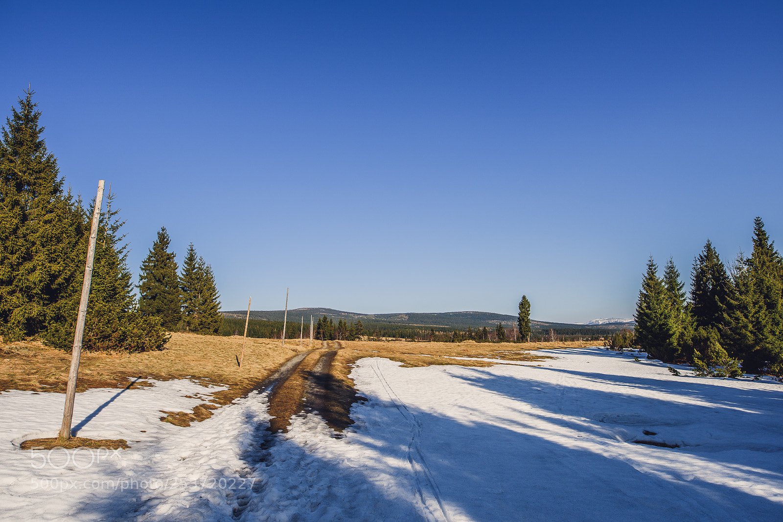 Nikon D810 sample photo. Other spring photography