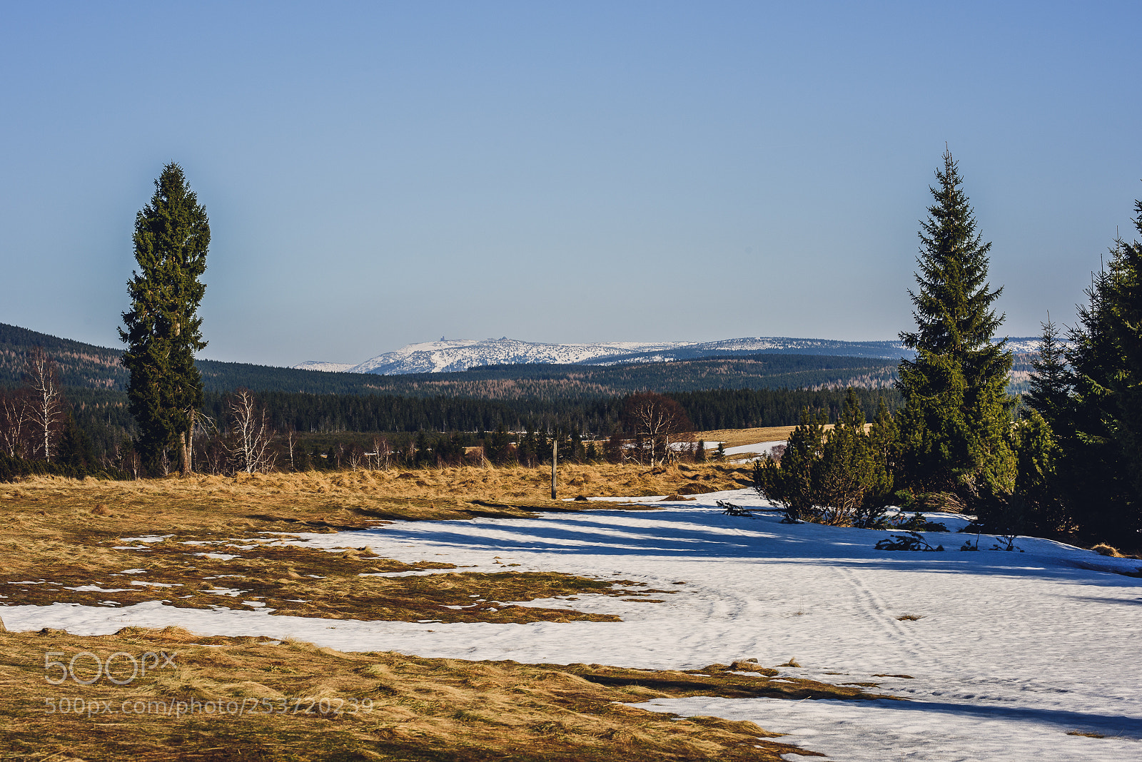 Nikon D810 sample photo. Other spring photography