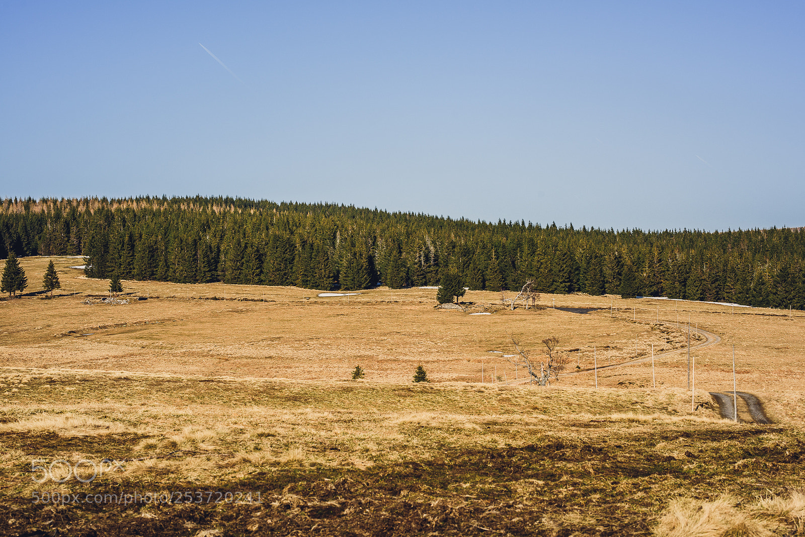 Nikon D810 sample photo. Other spring photography