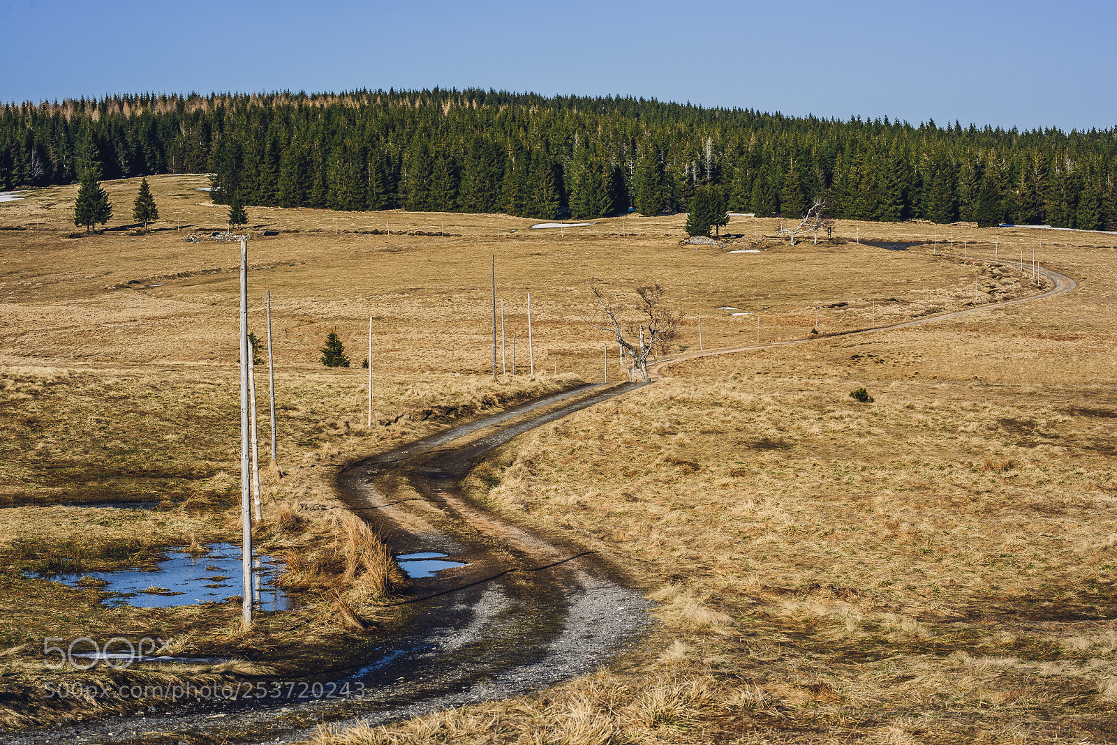 Nikon D810 sample photo. Other spring photography