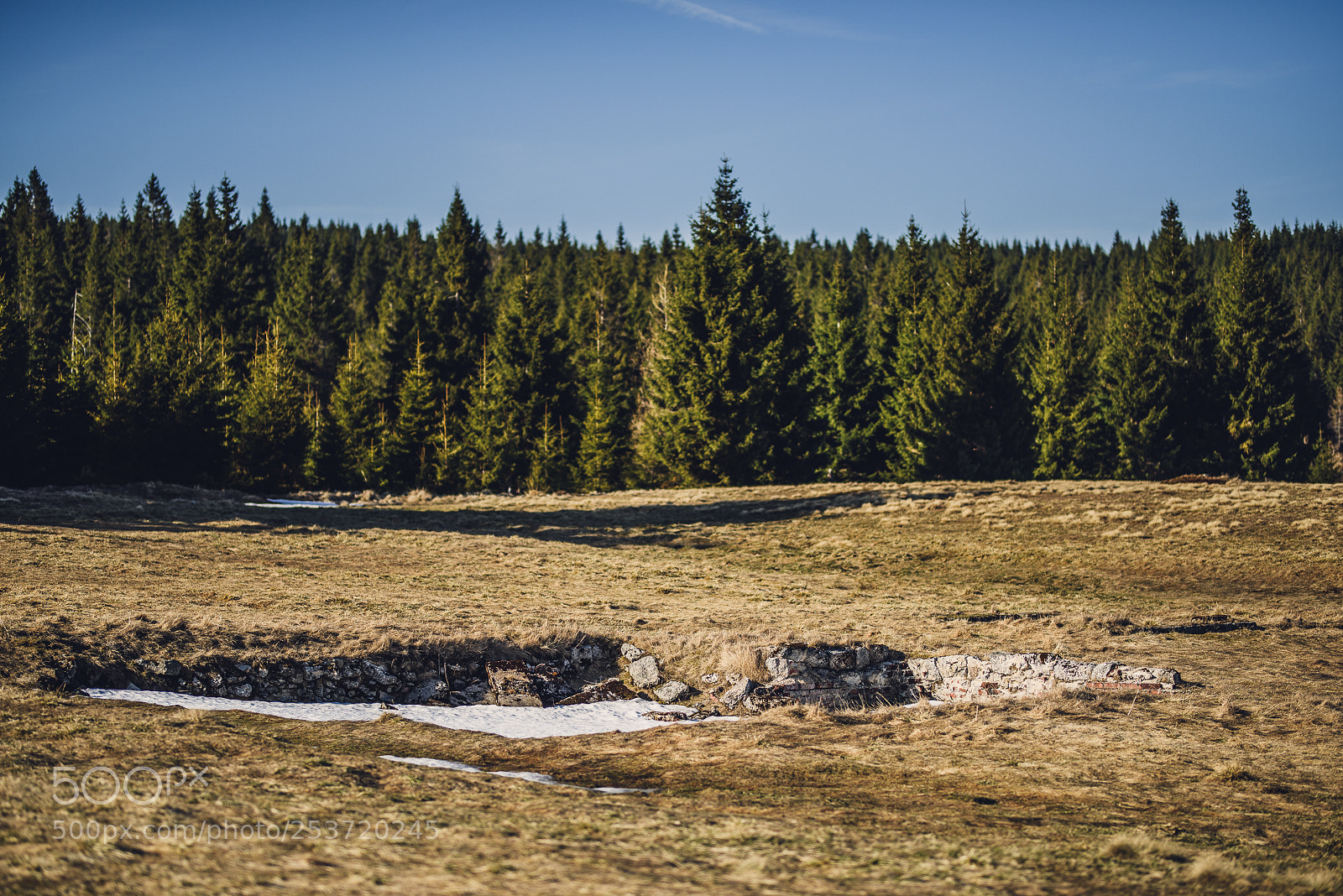 Nikon D810 sample photo. Other spring photography