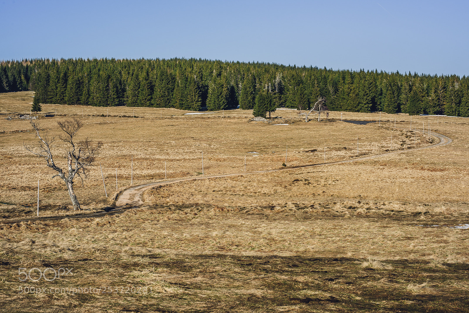 Nikon D810 sample photo. Other spring photography