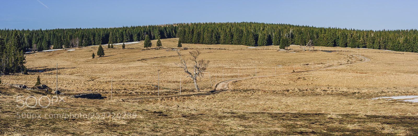 Nikon D810 sample photo. Other spring photography