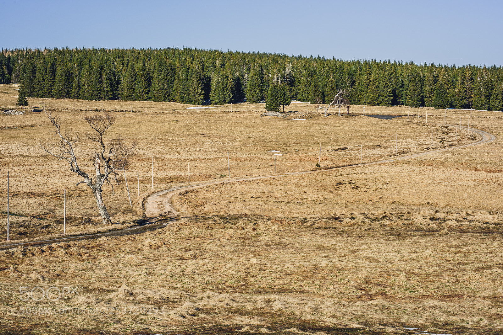Nikon D810 sample photo. Other spring photography