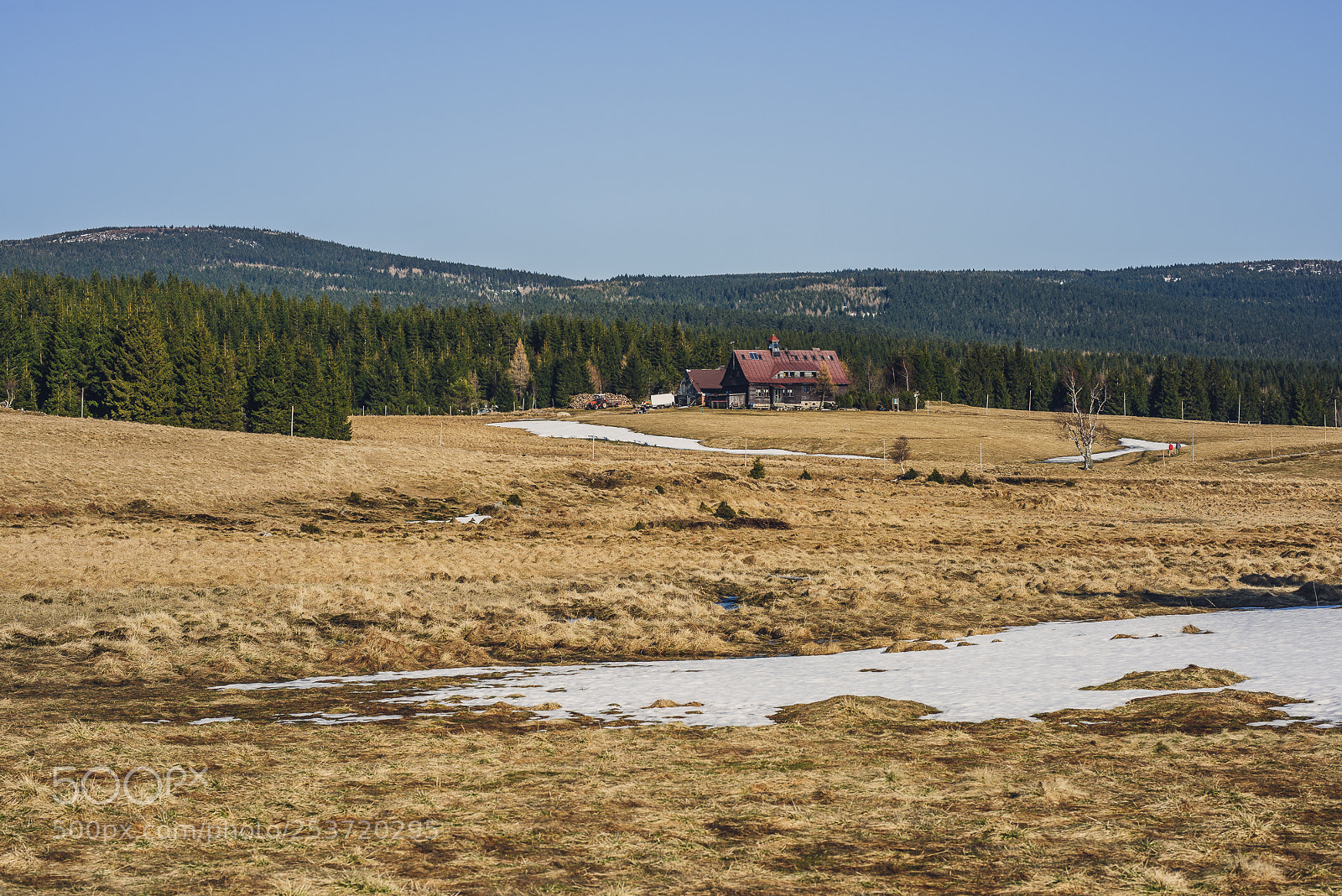 Nikon D810 sample photo. Other spring photography