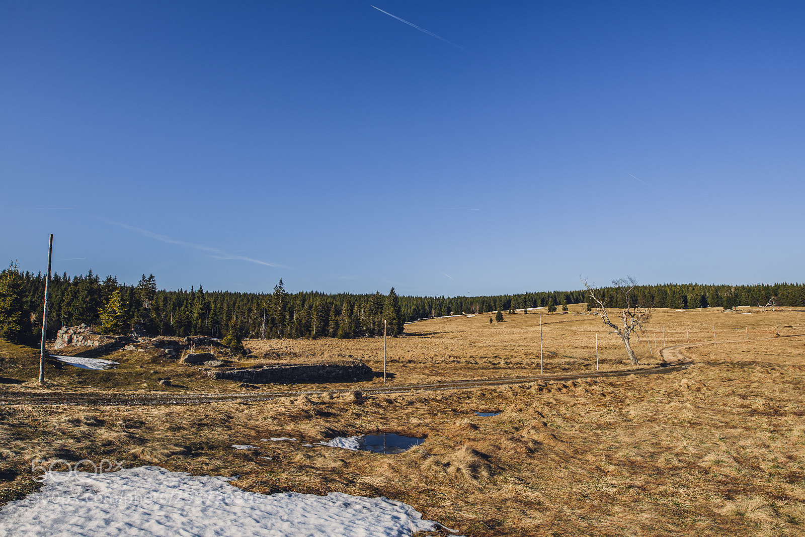 Nikon D810 sample photo. Other spring photography