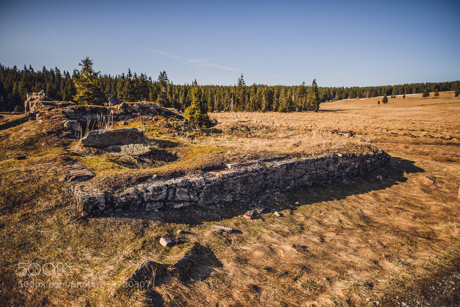 Nikon D810 sample photo. Other spring photography